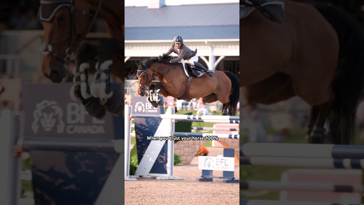 Jump off vibes #equestrian #jumpoff #showjumper #showjumpingrider #showjumping #showjumpinghorse