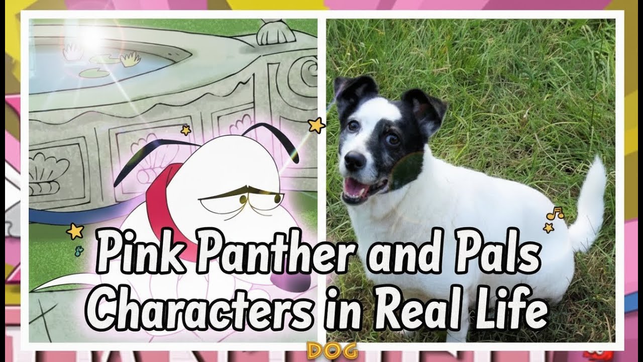 Pink Panther and Pals Characters in Real Life