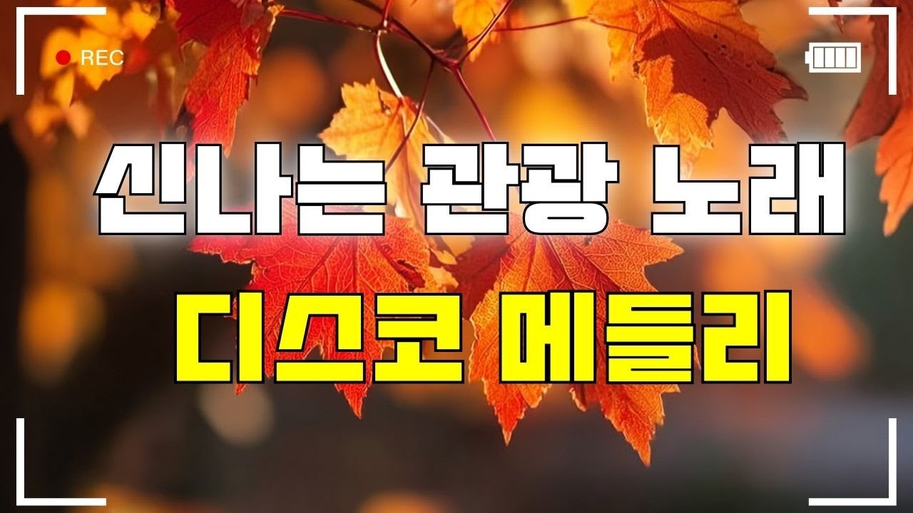 재미있는 관광버스 디스코 메들리 🚍🚍 관광 디스코 혼합 - 신명나는디스코메들리