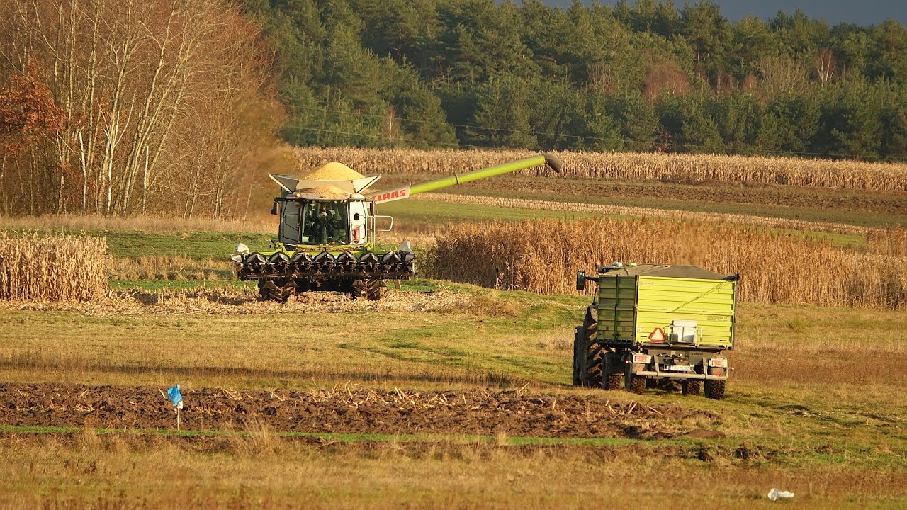 Grudniowe Żniwa kukurydziane 2025