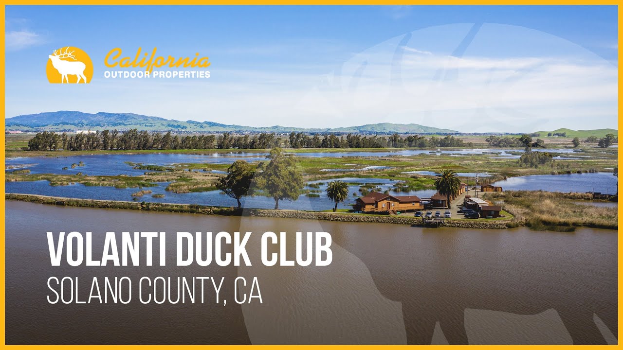 Bay Area Treasure | The Volanti Duck Club