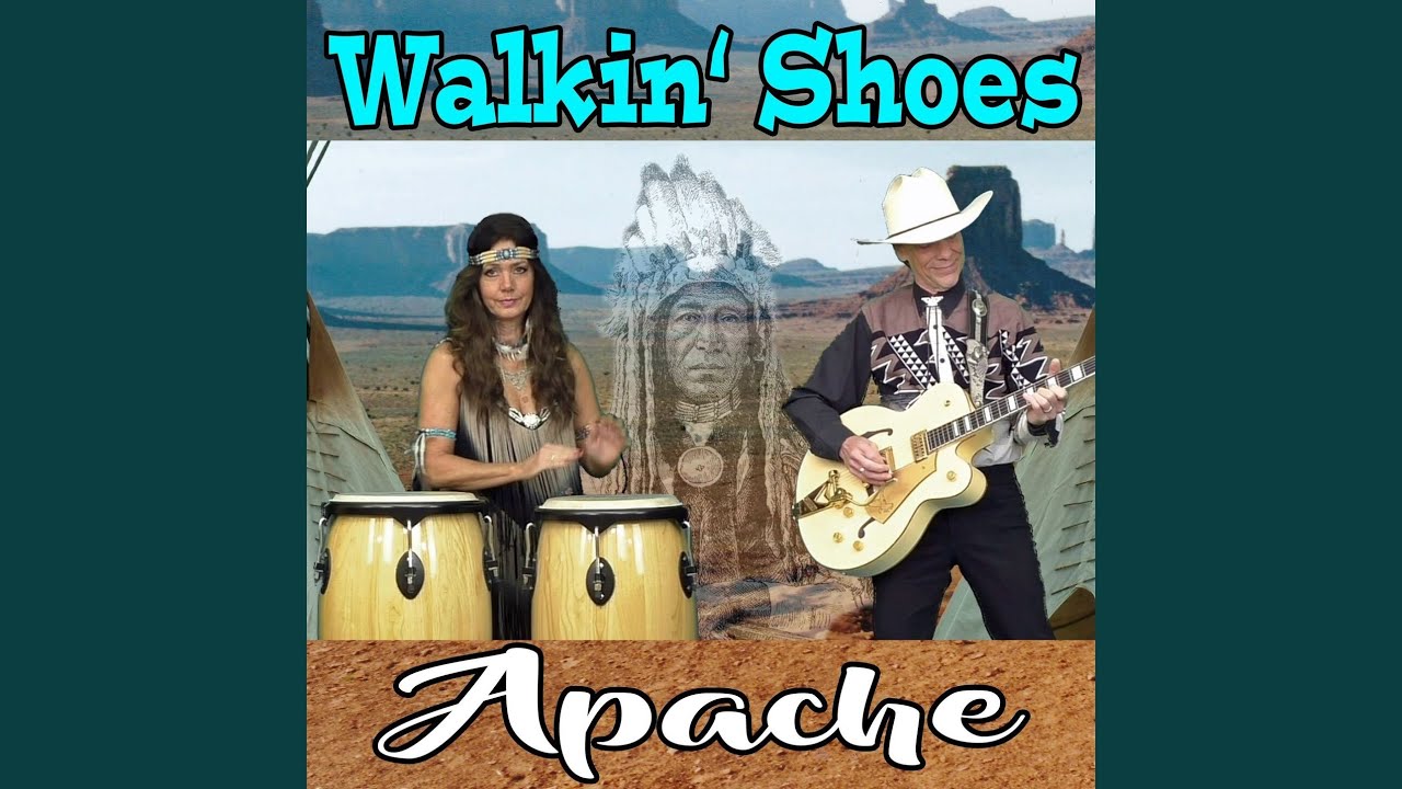 The Last of the Mohicans (Cover Version)