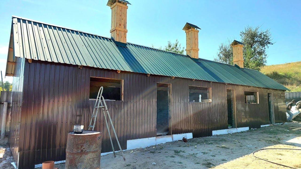 Сарай на 100голів🐖Проф-лист на стіни покрутили,