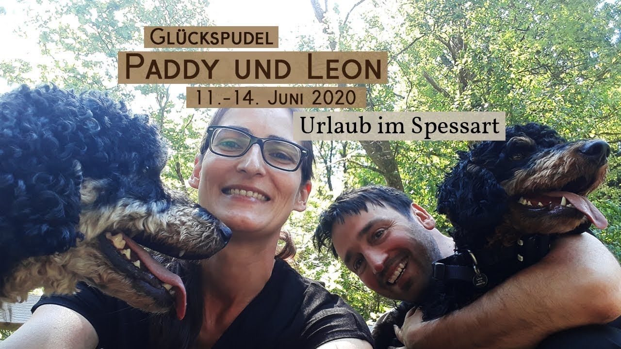 Kurzurlaub in Spessart und Mainfranken - Juni 2020