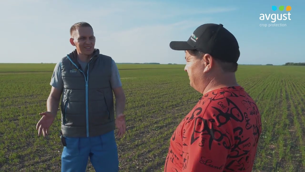 Осенняя обработка полей глифосатом в «Атамекен-Агро-Корнеевка» №3 #агроказахстан #обработкапочвы