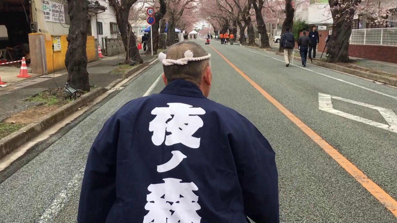 福島県双葉郡富岡町／夜ノ森の桜総集編2017~7年目の序曲~