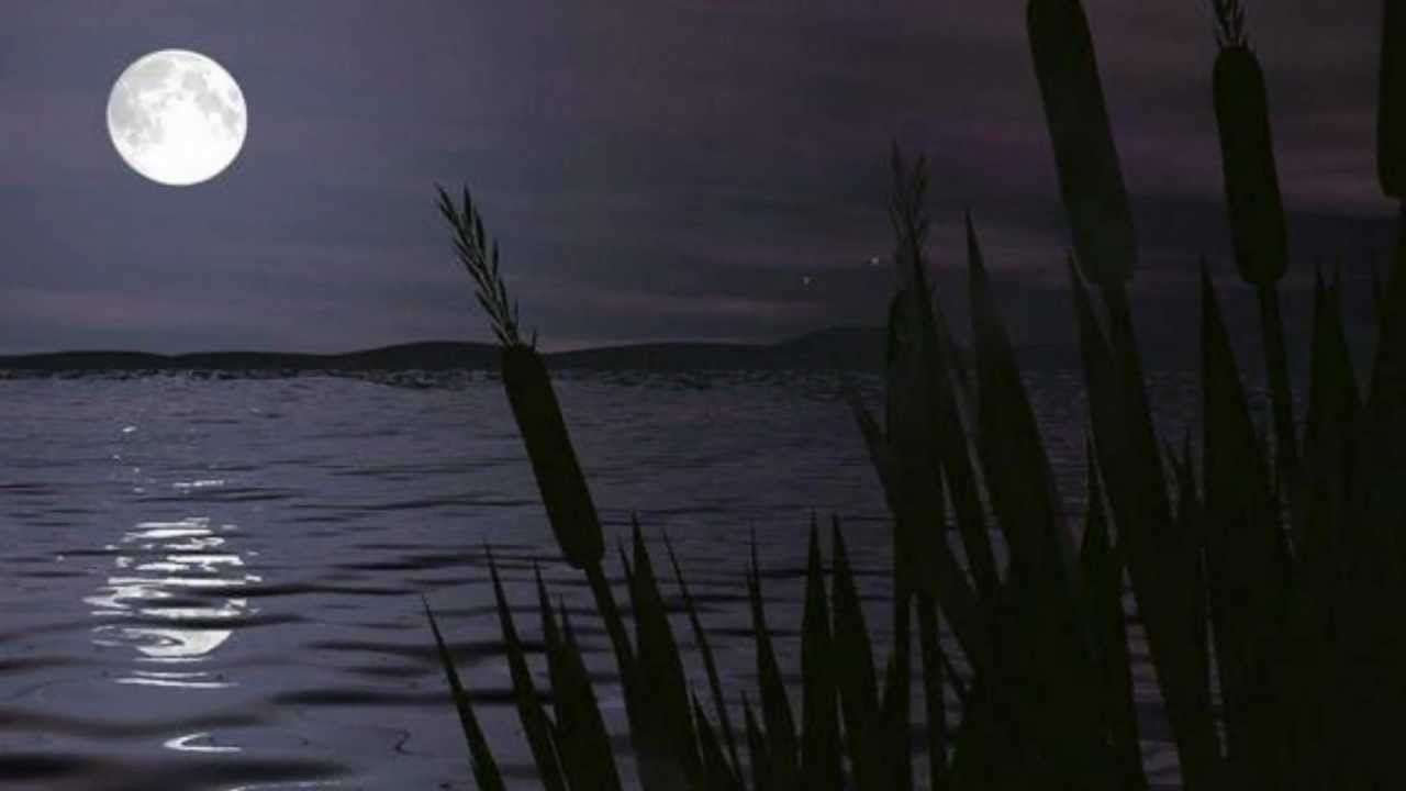 Rainer Maria RILKE. Pour écrire un seul vers. wmv