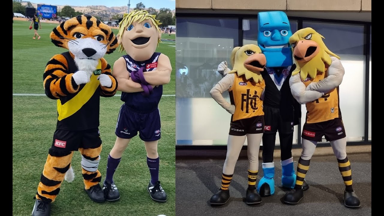 AFL Gather round Mascots 2025, Sunday - Day 4