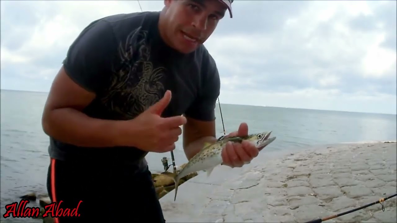 PESCA DE SURFING CON CARNADA VIVA EN UN PUENTE DE LA BAHIA DE TAMPA, LOS PECES DOBLAN MIS CAÑAS