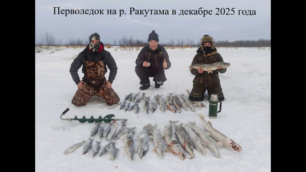 Бомбим щуку на Сахалине в декабре 2025 #fishing #сахалин #рыбалка #щука #щуказимой #sakhalin #зима