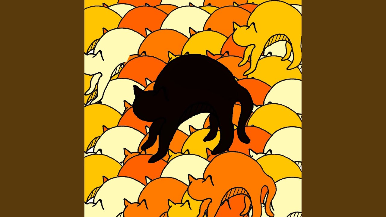 Black Cat