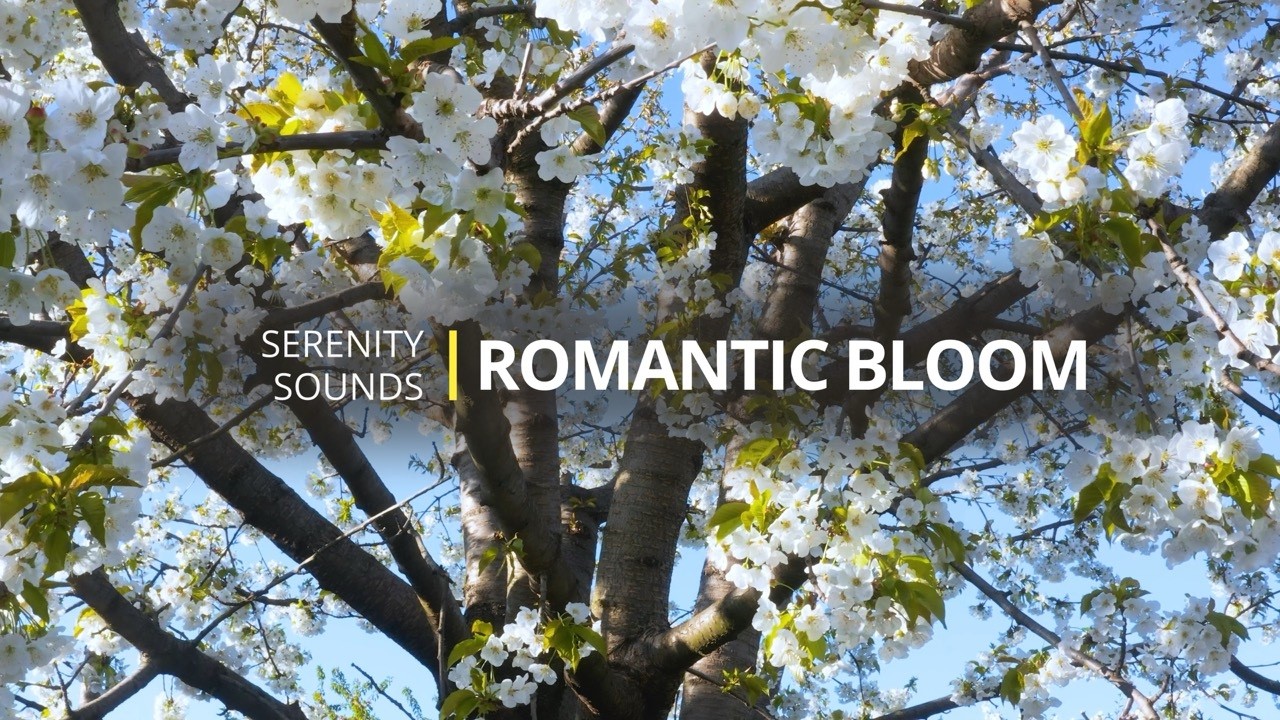Romantic Music & Blooming Flowers | Soft Instrumental for Love, Calm and Inspiration
