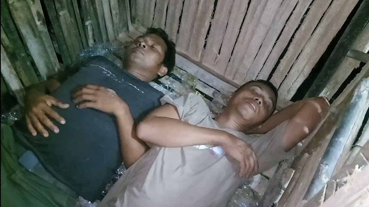 Camping merenovasi/membersihkan rumah pohon ditengah hutan dan tidur nyenyak didalam shelter
