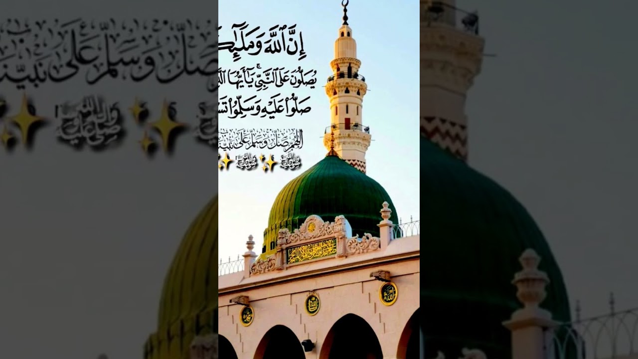 drood shareef 