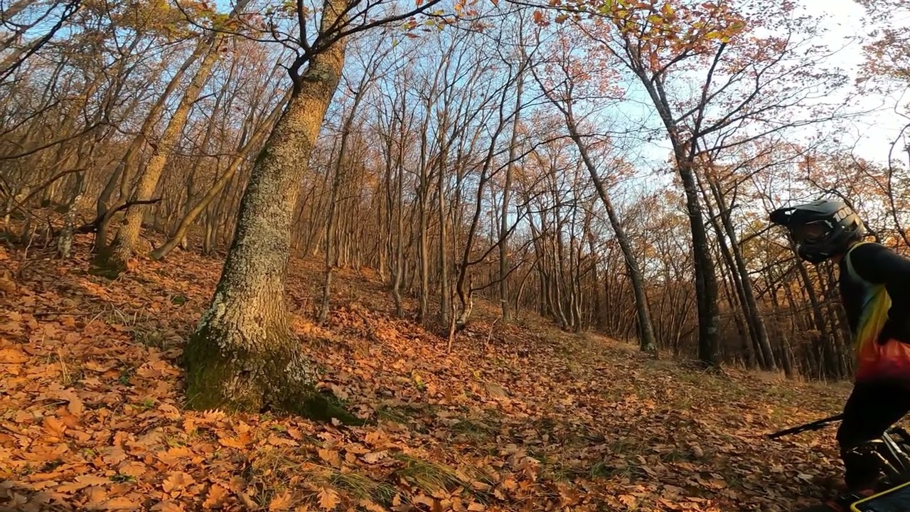 Vremuri demult apuse 19.11.2021 - TAMING STRANGE TRAIL #SHAPINGTHESOUTH