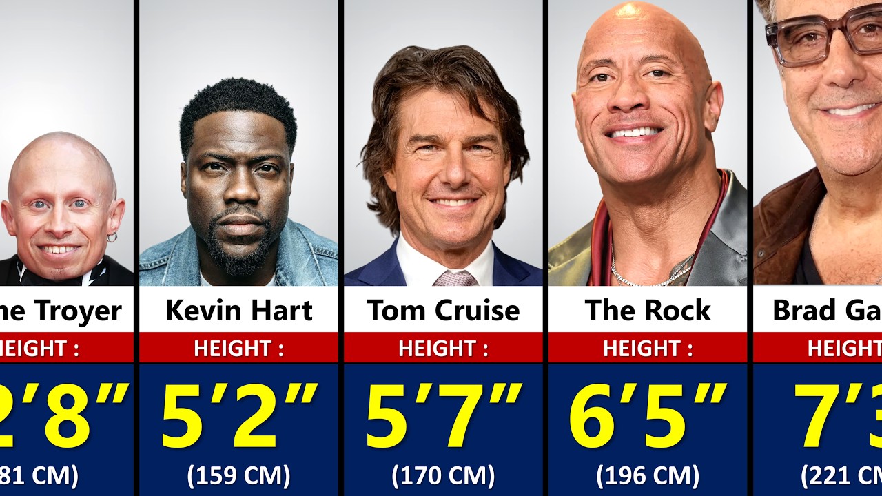 300+ Hollywood Actors Real Height Comparison | Shortest to Tallest