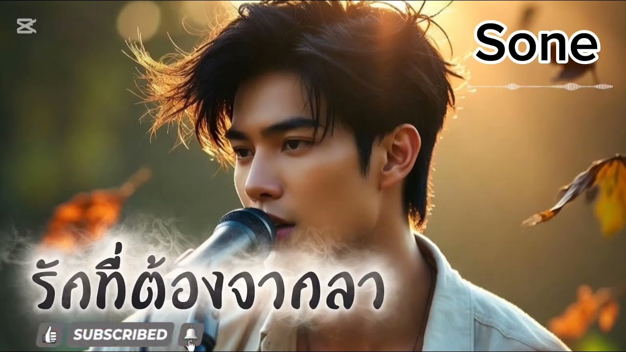 รักที่ต้องจากลา - Sone