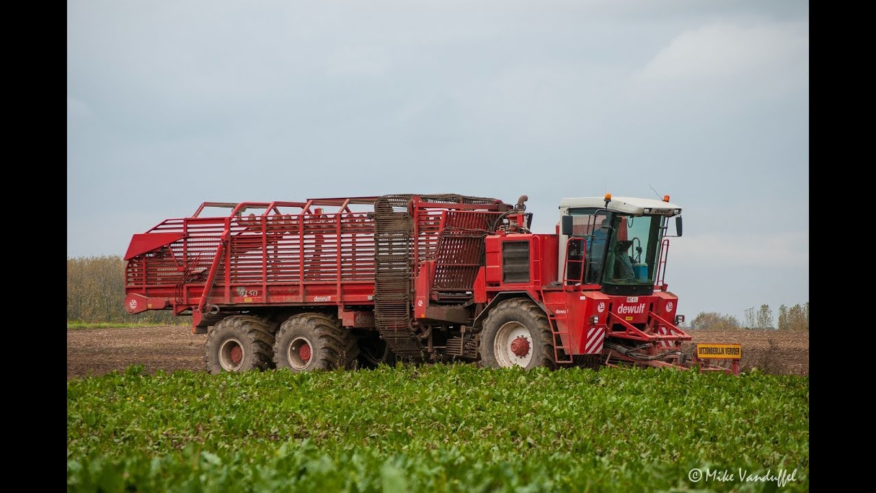 Dewulf 9150 Gilles RB410 John Deere Janssens bieten tienen Debardeuse sugar beet betteraves
