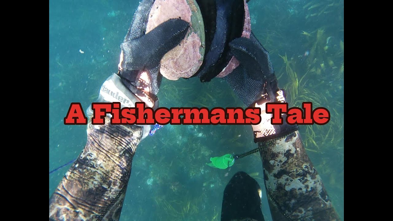 Ep43 A Fishermans Tale of Fresh Bluecod, Creamy Kina & Giant Paua