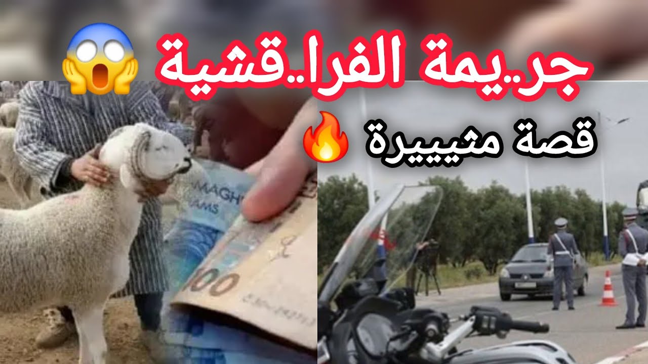 جر...يمة الفرا..قشية  قصة مثيييرة 🔥