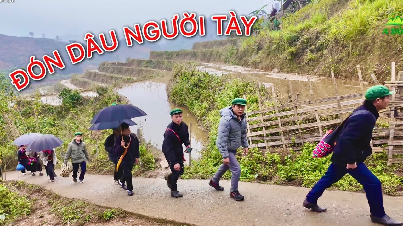 Lễ Đón Dâu, Rước Dâu Người Tày Bản Liền: Của Hồi Môn Khủng Khiến Ai Cũng Bất Ngờ