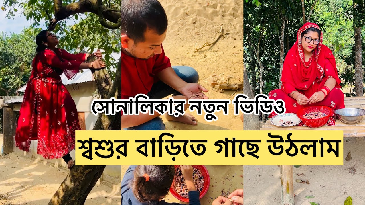 শ্বশুর বাড়িতে গাছে উঠলাম🤪🤪/ সোনালিকার নতুন ভিডিও