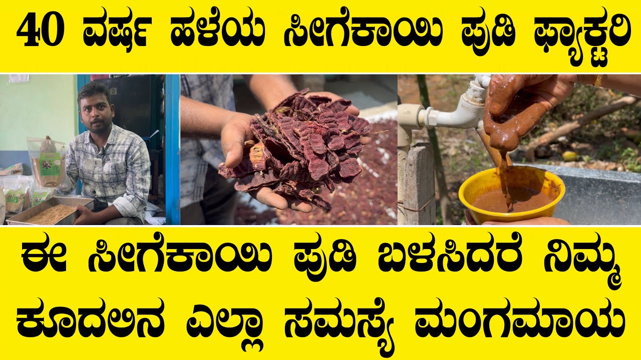 ಈ ಸೀಗೆಕಾಯಿ ಪುಡಿ ಬಳಸಿದರೆ ನಿಮ್ಮ ಕೂದಲಿನ ಎಲ್ಲಾ ಸಮಸ್ಯೆ ಮಂಗಮಾಯ| Segekayi pudi powder factory tour