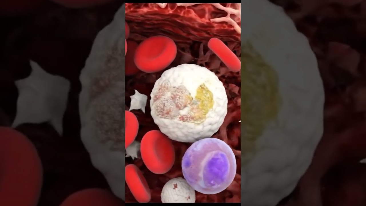 How to increase blood level in body