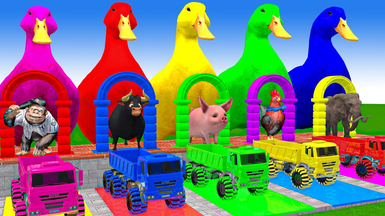 Long Slide Game With Cow Elephant Gorilla Hippopotamus Tiger 3d Animal Game Funny 3d Animals