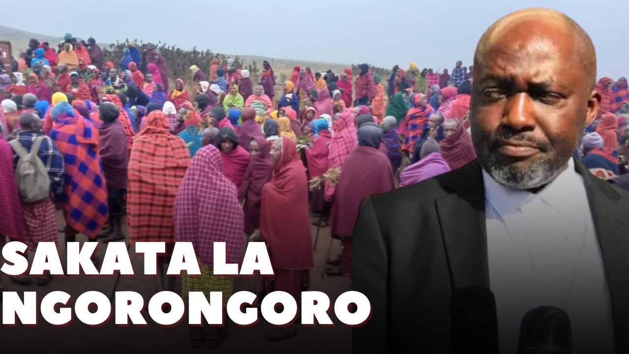 Wanasheria Wajitosa Sakata la Ngorongoro, Mwabukusi Aelezea Hatua Zinazofuata.