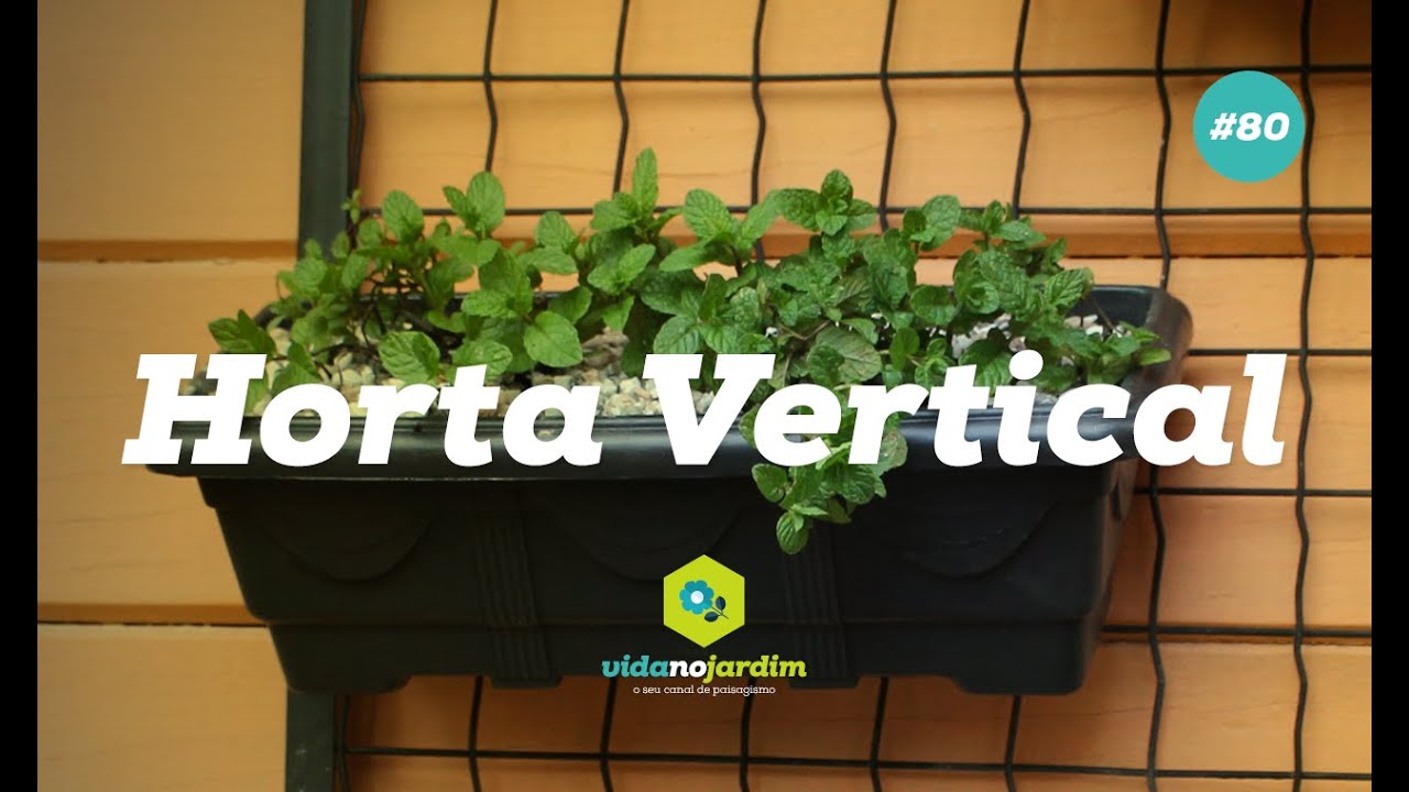 Como fazer uma horta vertical para sua casa