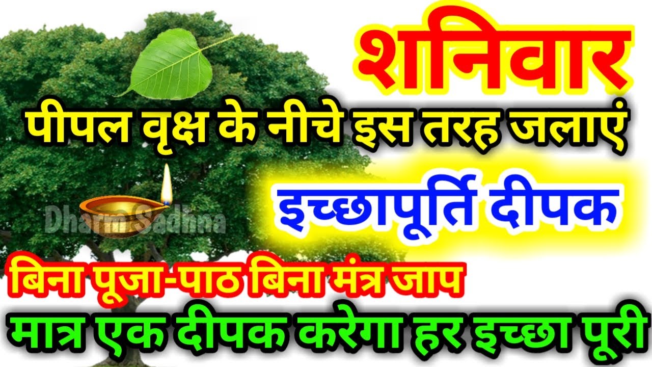 Peepal Puja पूजा पाठ करके भी परेशानी दूर नहीं हुई तो मात्र 7 शनिवार जलाएं इच्छापूर्ति दीपक