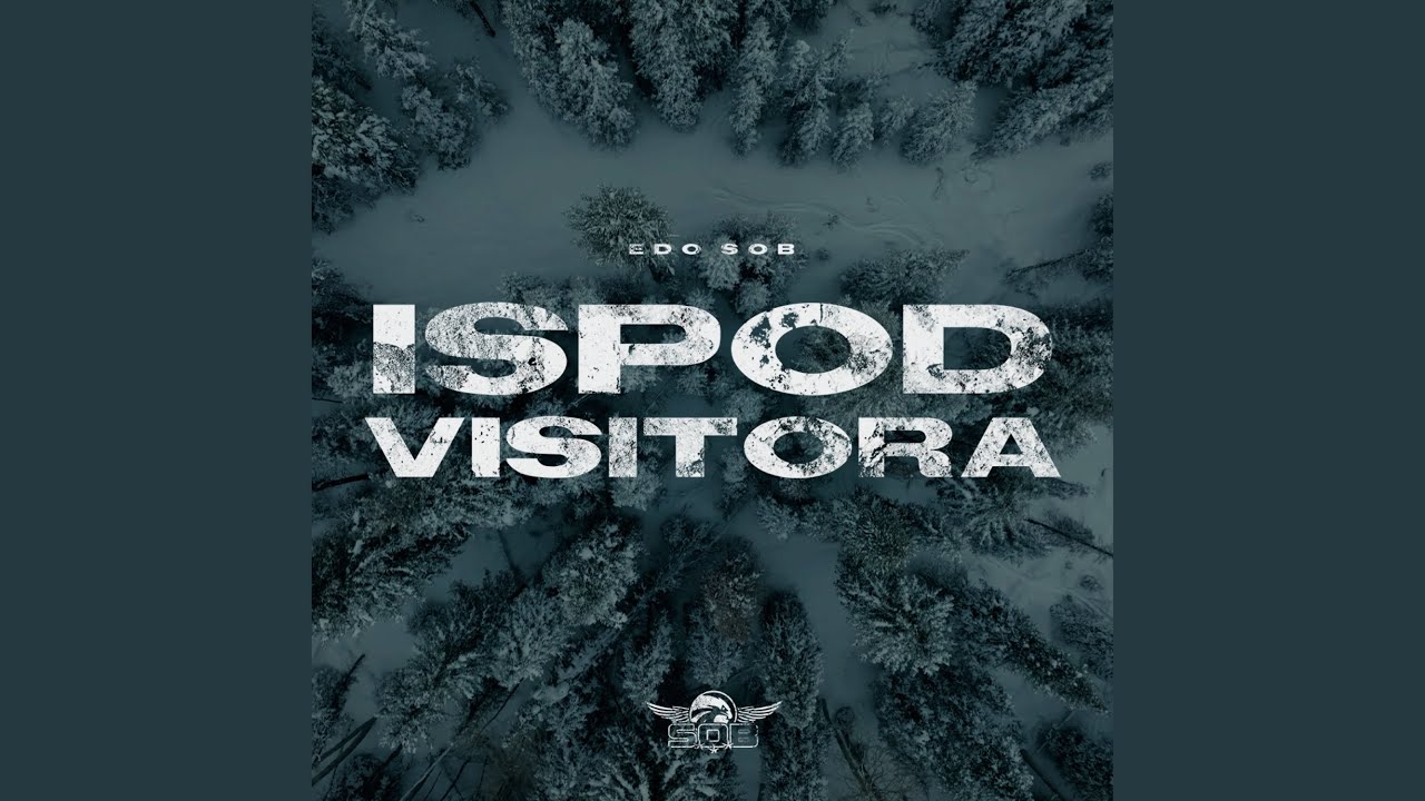Ispod Visitora
