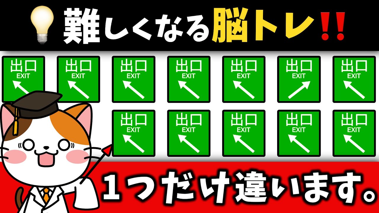 見つけてスッキリ❗️毎日続ける脳が喜ぶ脳トレで頭の体操習慣💡【高速道路編】