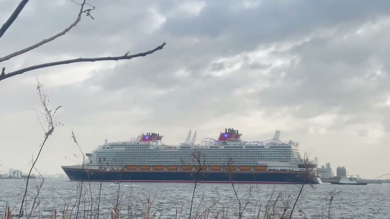 Disney adventure 城南島先　20260224