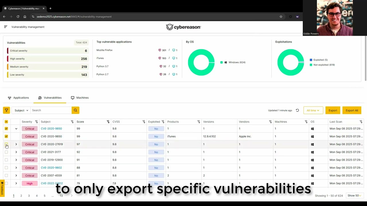 Cybereason Vulnerability Management