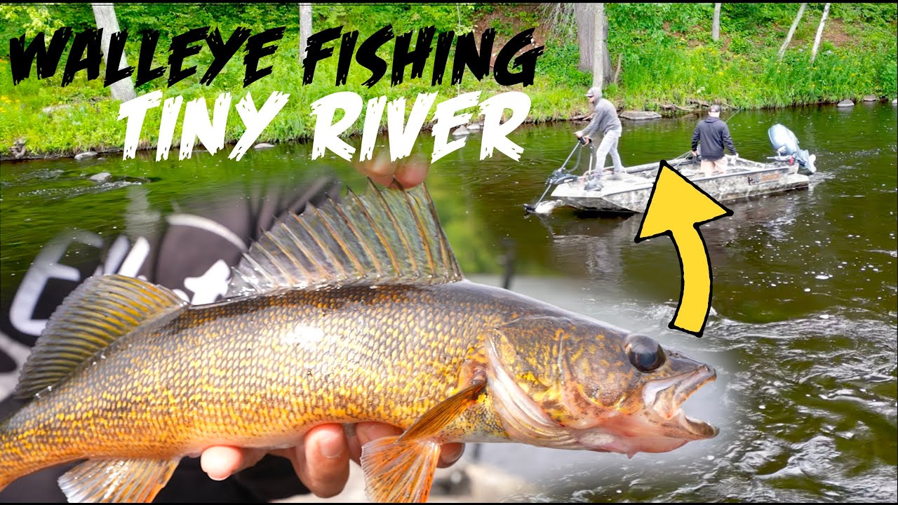 Fishing a TINY River for WALLEYES!