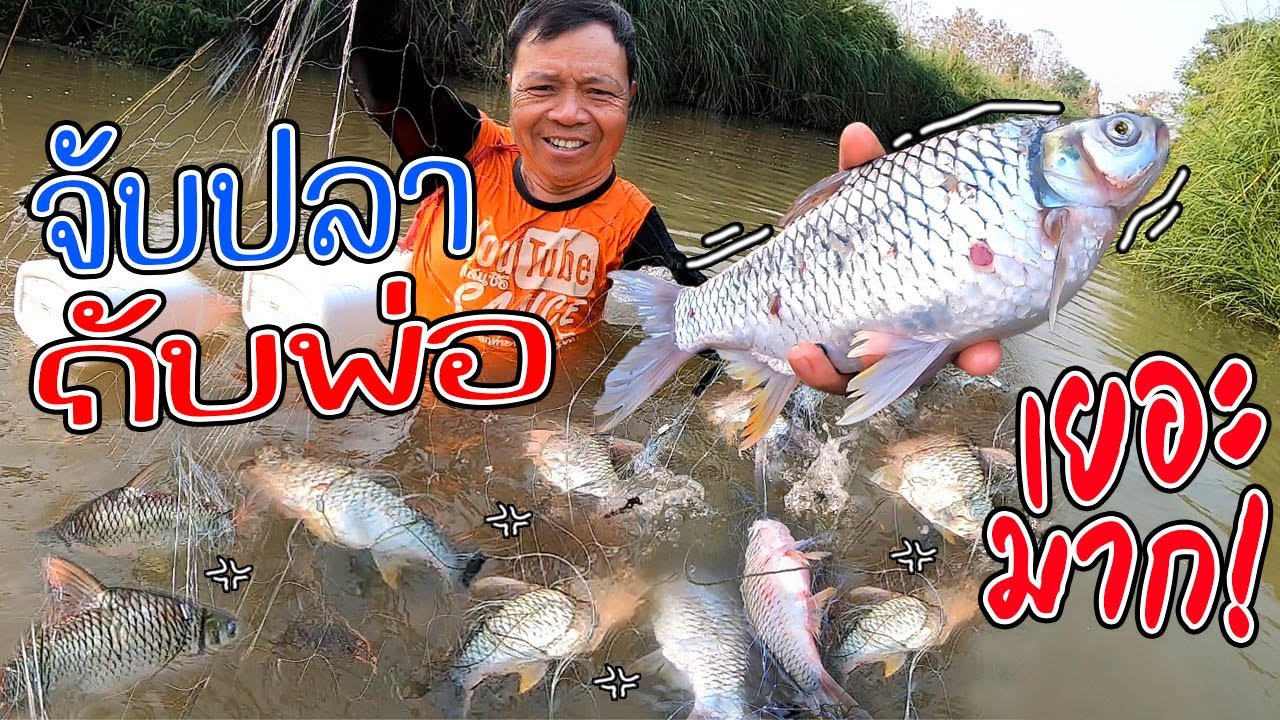 โดนเข้าแล้ว!! หาปลากับพ่อ ได้ ปลาตะเพียน 3กิโล!! จับปลาน้ำฝาง เด็ดจริงหมายนี้ l SAN CE