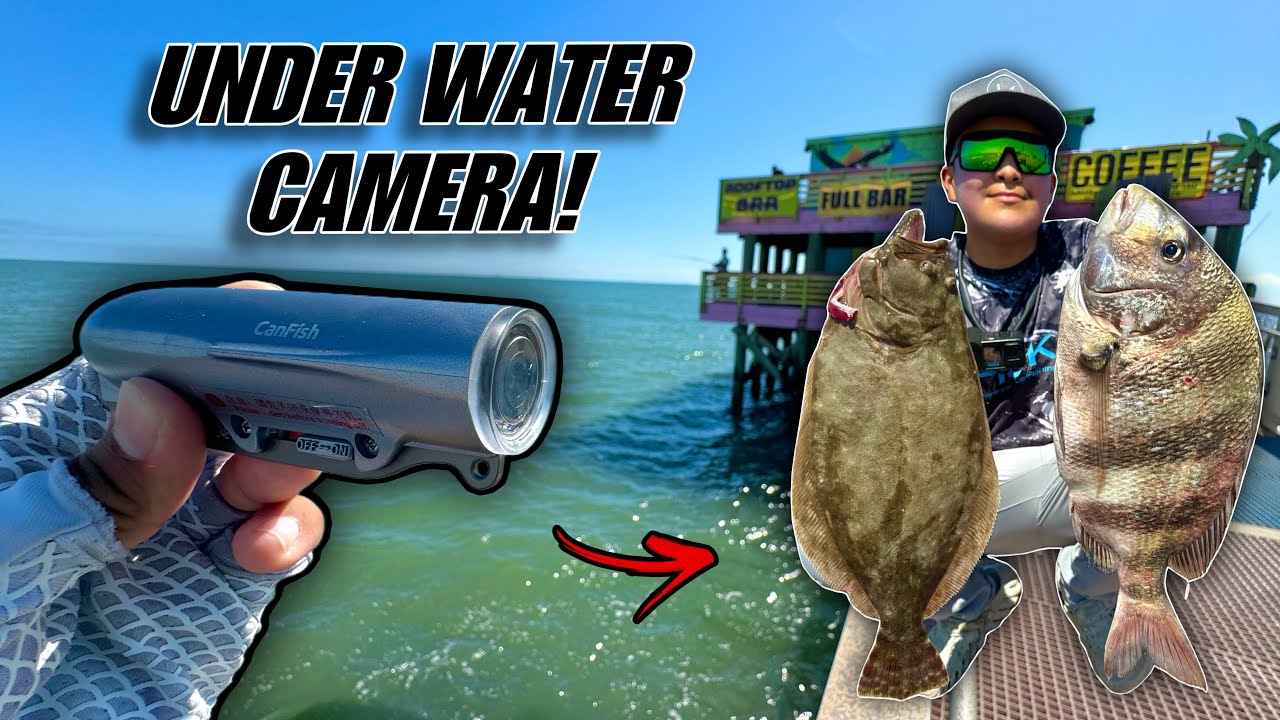 This is What LIVES Under Fishing Piers In Texas!! 61st Fishing Pier