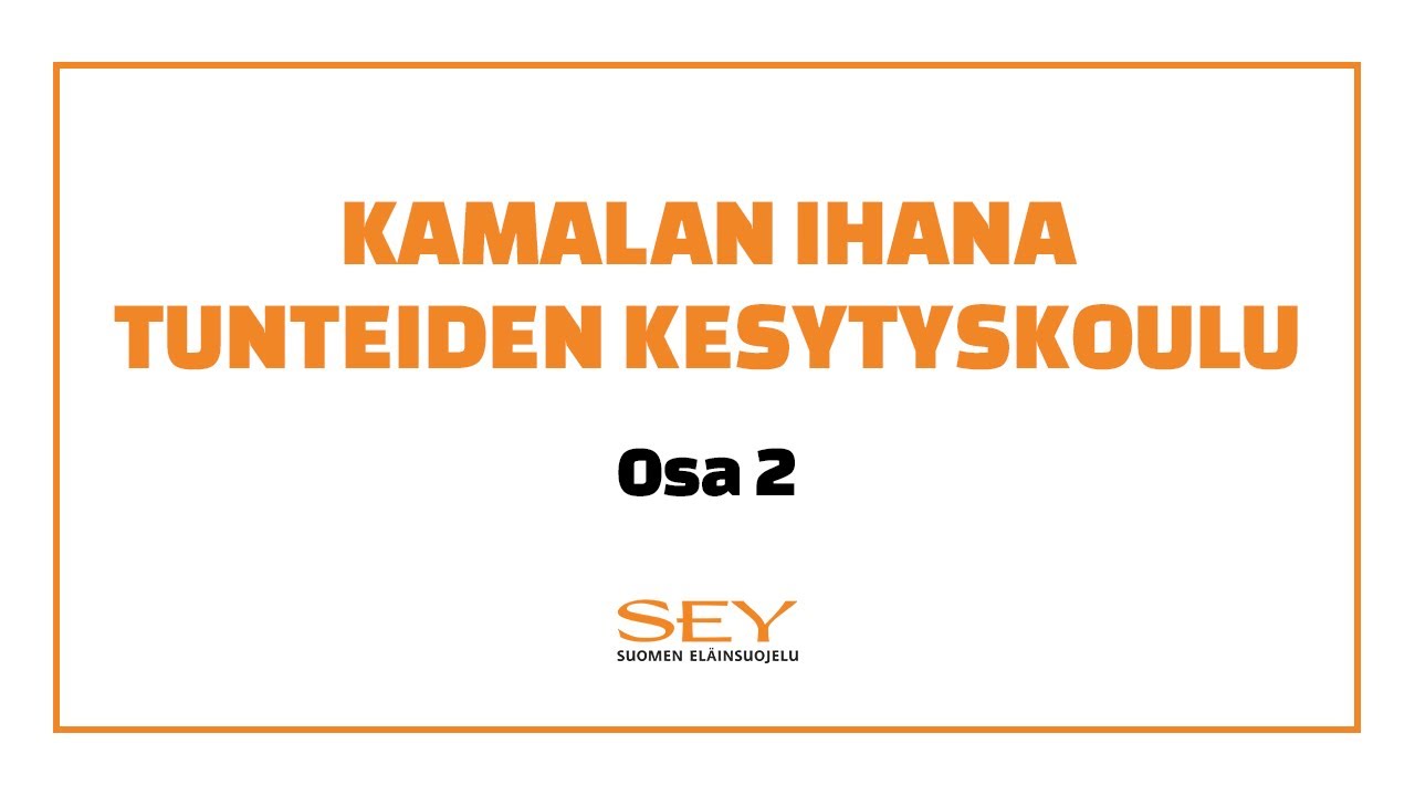Kamalan ihana tunteiden kesytyskoulu | Osa 2