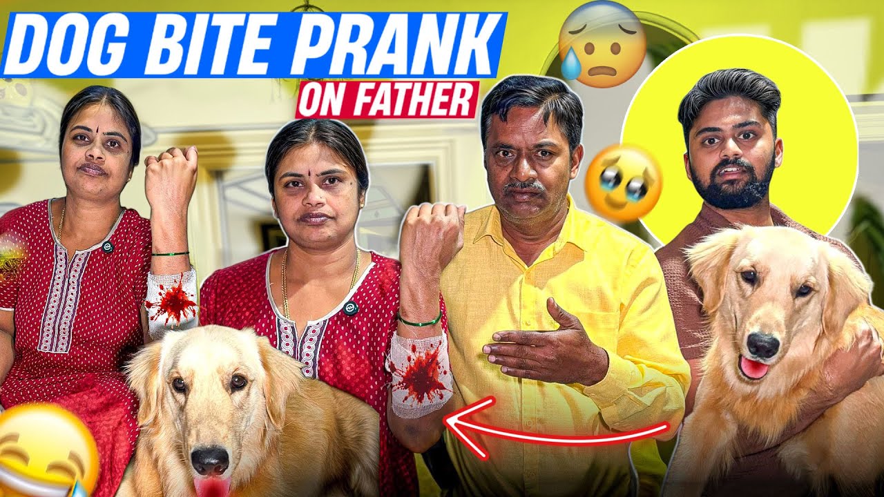 Dog Bite Prank on ಅಪ್ಪ😱|ನಮ್ಮ ಅಮ್ಮ Acting😅| Kannada Family Prank|Vikas Vlogs #pranks #kannadavlog 