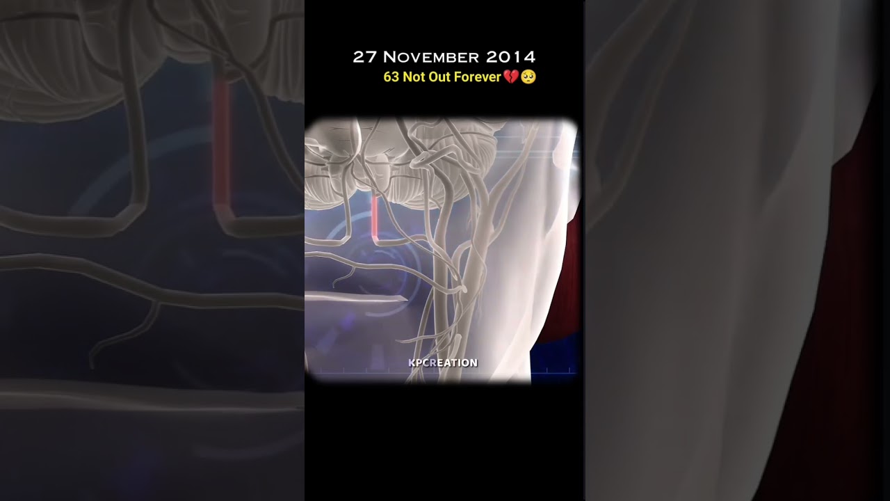27 november 2014 never forget every cricket lover 😭😭😭💔💔