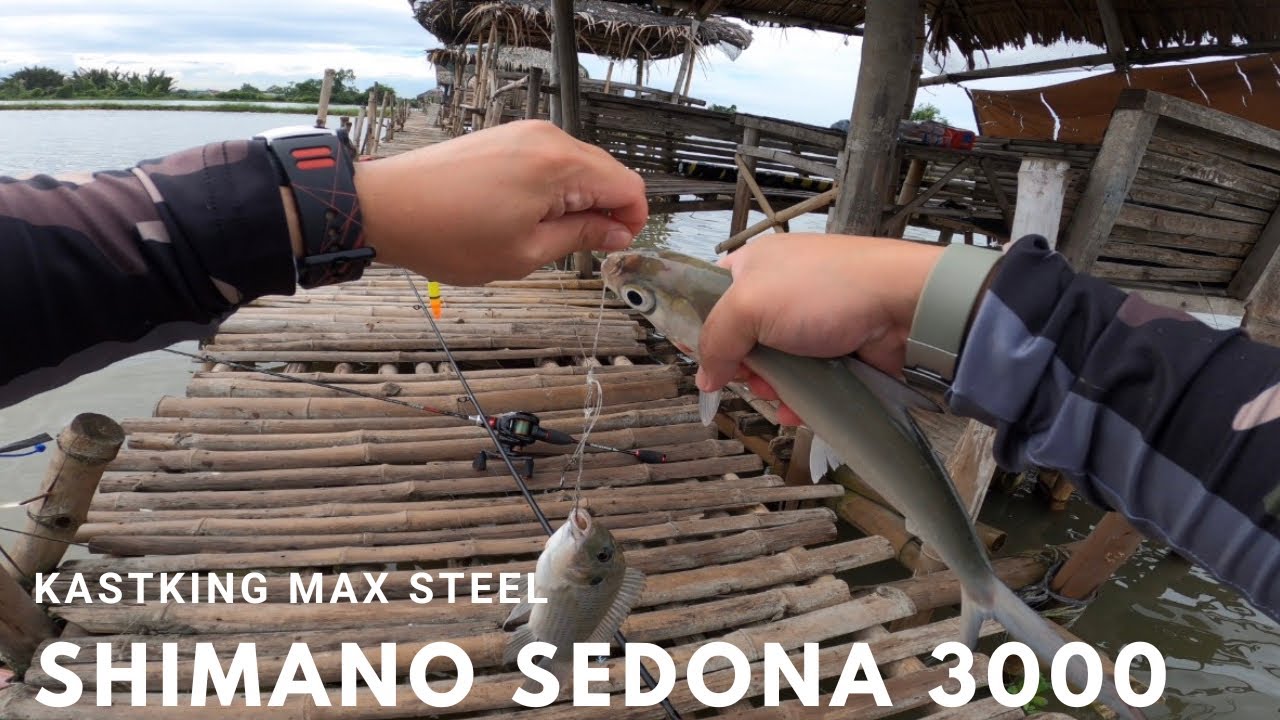 Bait and Wait - Aling Nene's Pond - Shimano Sedona - Kastking Max Steel - Kastking Verus