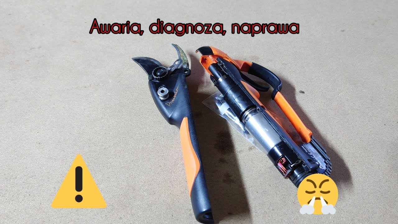 🤬Awaria 🧐Diagnoza 😵‍💫Naprawa. Zajechałem Pellenc Prunion. Jaka przyczyna? Jakie rokowanie?