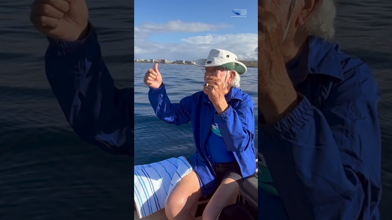 Join Jean-Michel Cousteau at Whale Tales in Maui, 2025