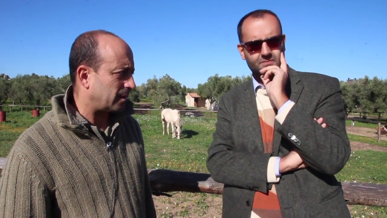 Il lupo torna ad abitare in Salento - Leccenews24
