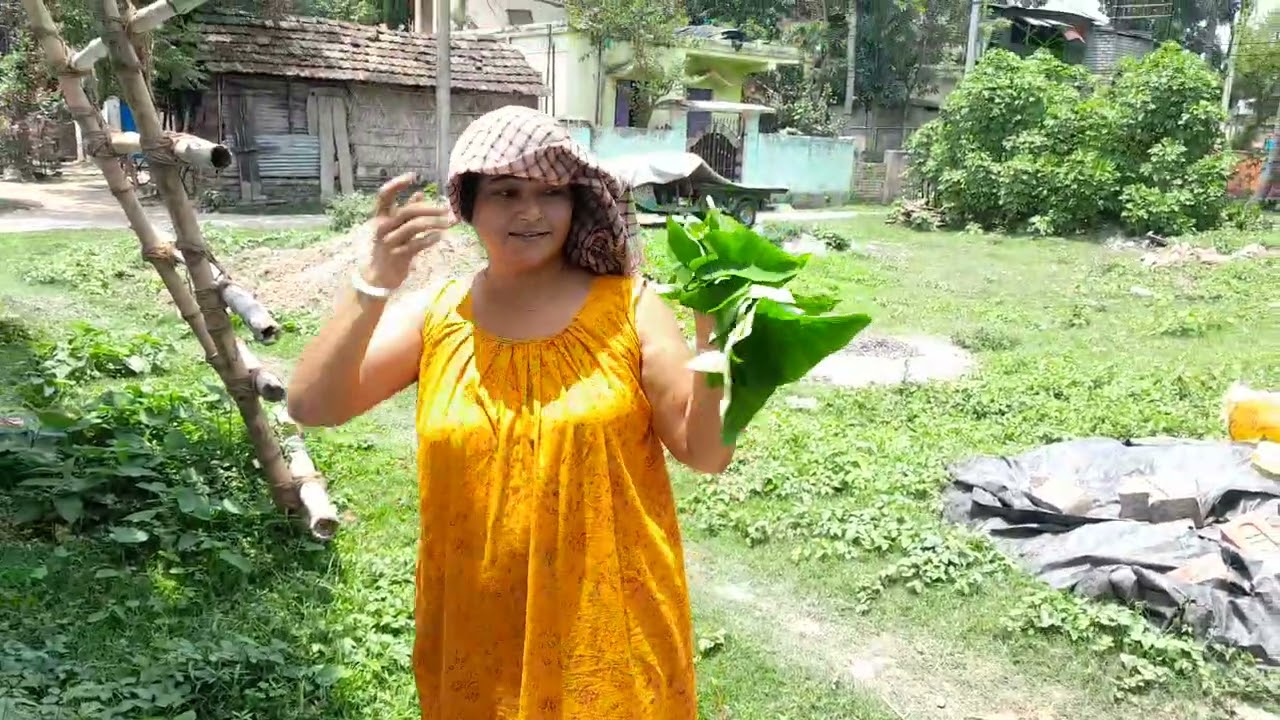 কচু শাক কি কি খেতে ভালোবাসো বন্ধুরা সবাই