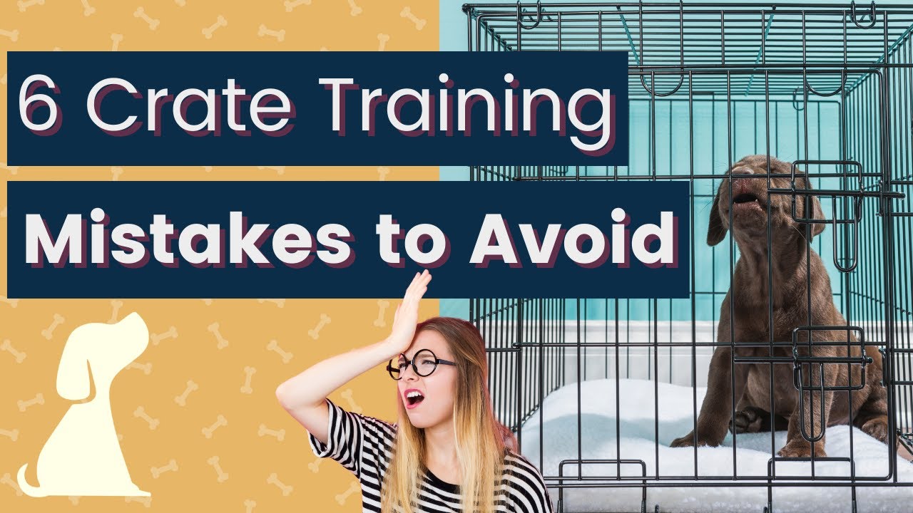 Crate Training A Dog - Mistakes To Avoid With Your New Puppy