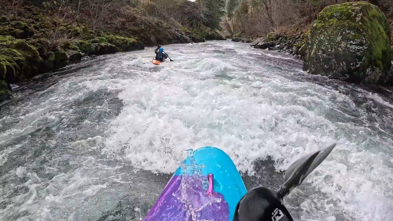 Wilson River // Jones Creek // 1550 CFS // November