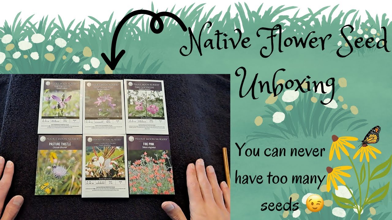 Native Flower Seed Unboxing (Whispered)